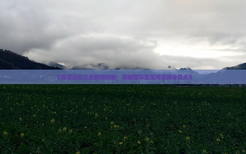 《保定出发三亚旅游攻略：探秘国际亚龙湾玫瑰谷景点》