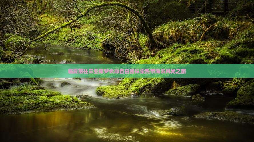 临夏前往三亚椰梦长廊自由团探索热带海滨风光之旅
