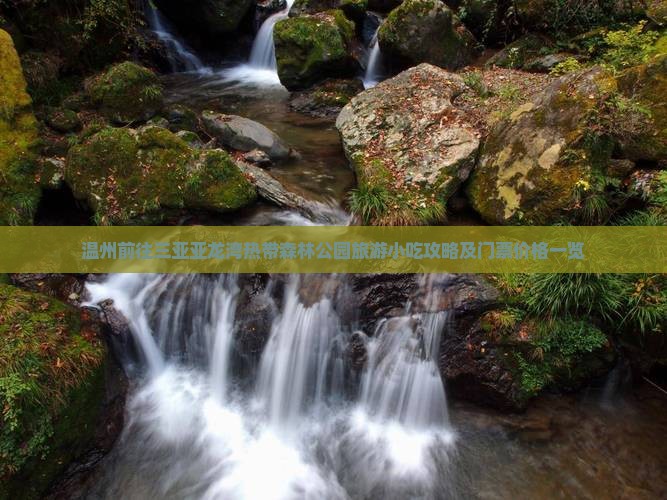温州前往三亚亚龙湾热带森林公园旅游小吃攻略及门票价格一览