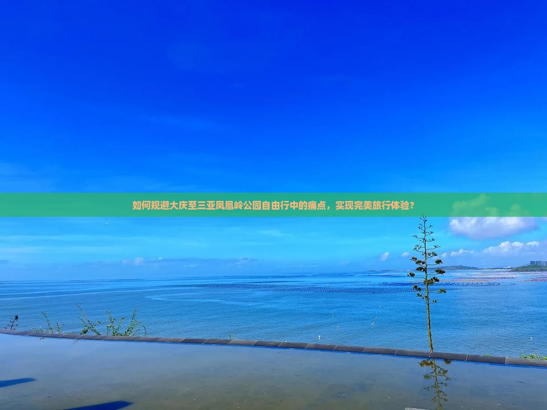 如何规避大庆至三亚凤凰岭公园自由行中的痛点，实现完美旅行体验？