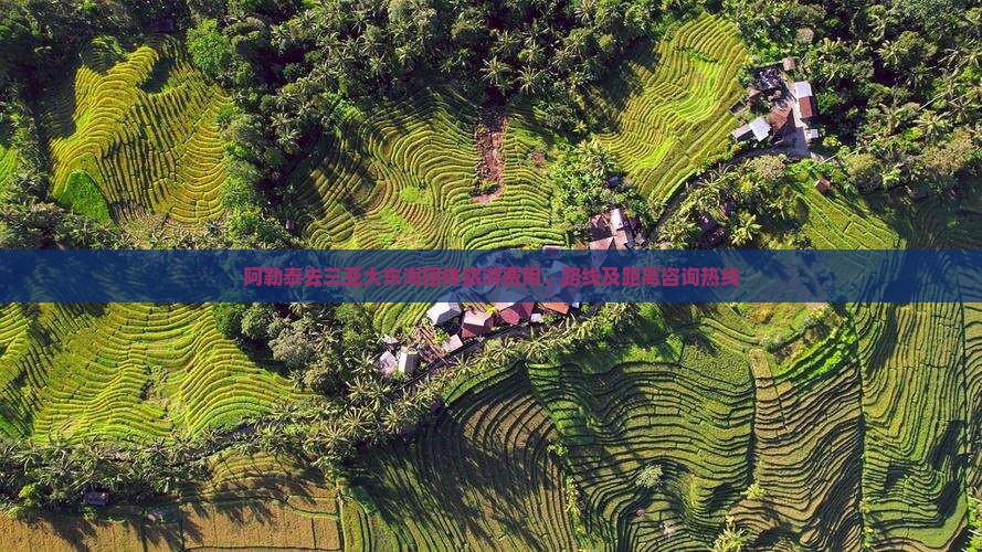 阿勒泰去三亚大东海团体旅游费用、路线及距离咨询热线