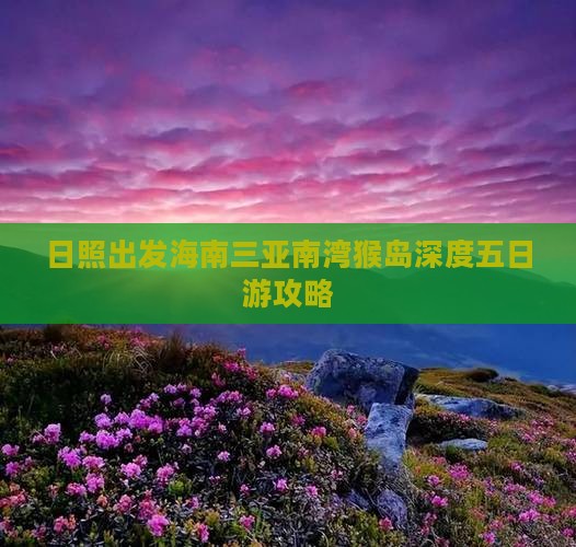 日照出发海南三亚南湾猴岛深度五日游攻略
