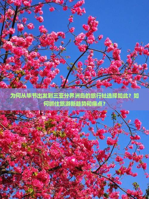 为何从毕节出发到三亚分界洲岛的旅行社选择如此？如何抓住旅游新趋势和痛点？