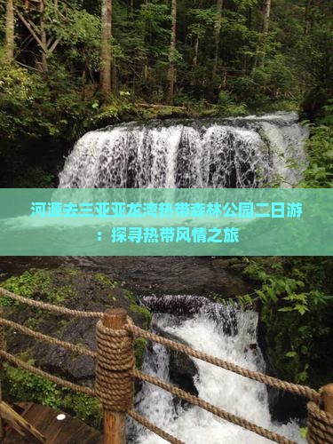 河源去三亚亚龙湾热带森林公园二日游：探寻热带风情之旅