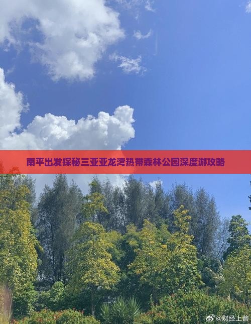 南平出发探秘三亚亚龙湾热带森林公园深度游攻略