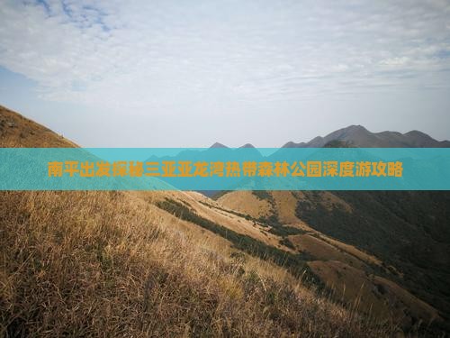 南平出发探秘三亚亚龙湾热带森林公园深度游攻略