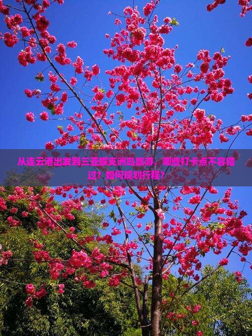 从连云港出发到三亚蜈支洲岛旅游，哪些打卡点不容错过？如何规划行程？