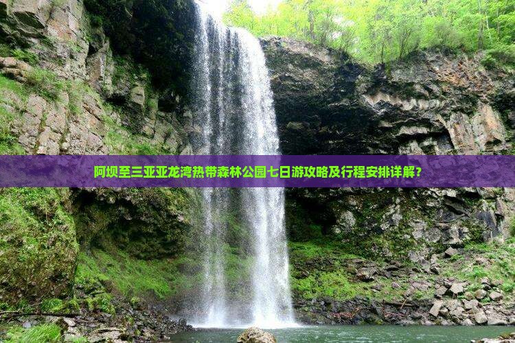 阿坝至三亚亚龙湾热带森林公园七日游攻略及行程安排详解？