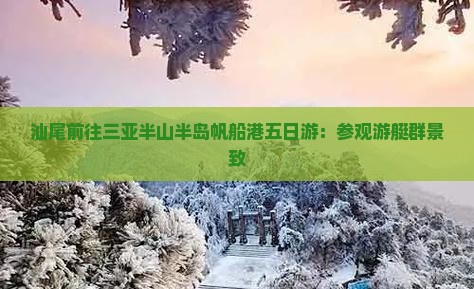 汕尾前往三亚半山半岛帆船港五日游：参观游艇群景致