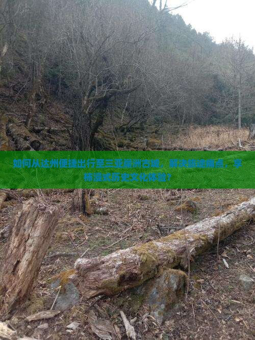 如何从达州便捷出行至三亚崖洲古城，解决旅途痛点，享柿浸式历史文化体验？