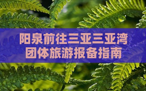 阳泉前往三亚三亚湾团体旅游报备指南