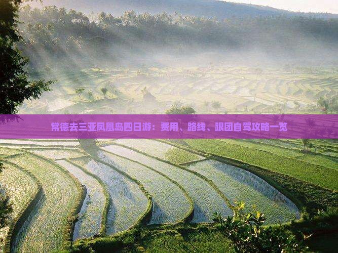 常德去三亚凤凰岛四日游：费用、路线、跟团自驾攻略一览