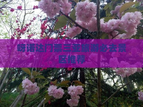 呀诺达门票三亚旅游必去景区推荐