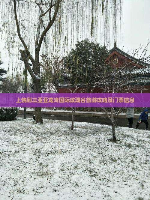 上饶到三亚亚龙湾国际玫瑰谷旅游攻略及门票信息