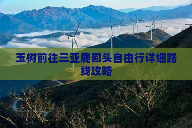 玉树前往三亚鹿回头自由行详细路线攻略