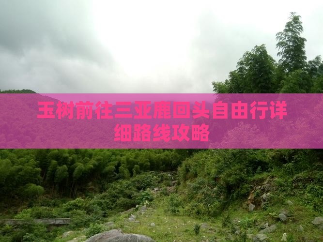 玉树前往三亚鹿回头自由行详细路线攻略