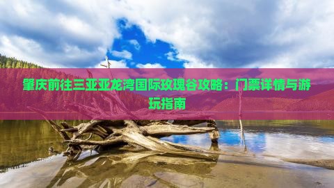 肇庆前往三亚亚龙湾国际玫瑰谷攻略：门票详情与游玩指南
