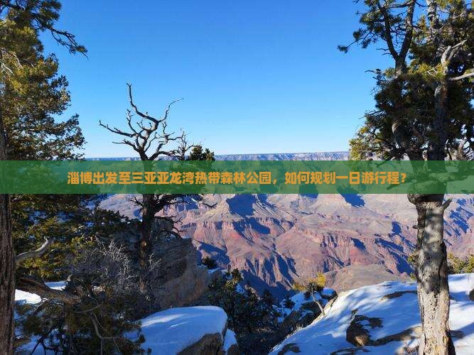 淄博出发至三亚亚龙湾热带森林公园，如何规划一日游行程？
