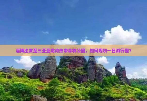 淄博出发至三亚亚龙湾热带森林公园，如何规划一日游行程？