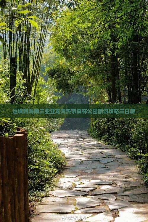 运城到海南三亚亚龙湾热带森林公园旅游攻略三日游