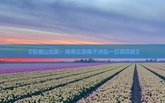 《石嘴山出发：海南三亚椰子洲岛一日游攻略》