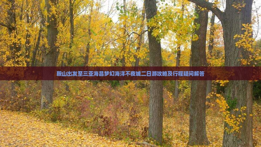 鞍山出发至三亚海昌梦幻海洋不夜城二日游攻略及行程疑问解答