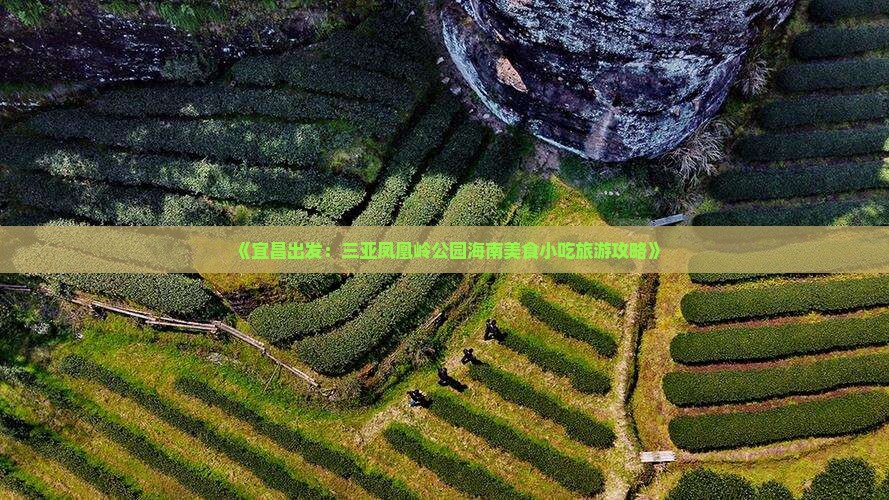 《宜昌出发：三亚凤凰岭公园海南美食小吃旅游攻略》