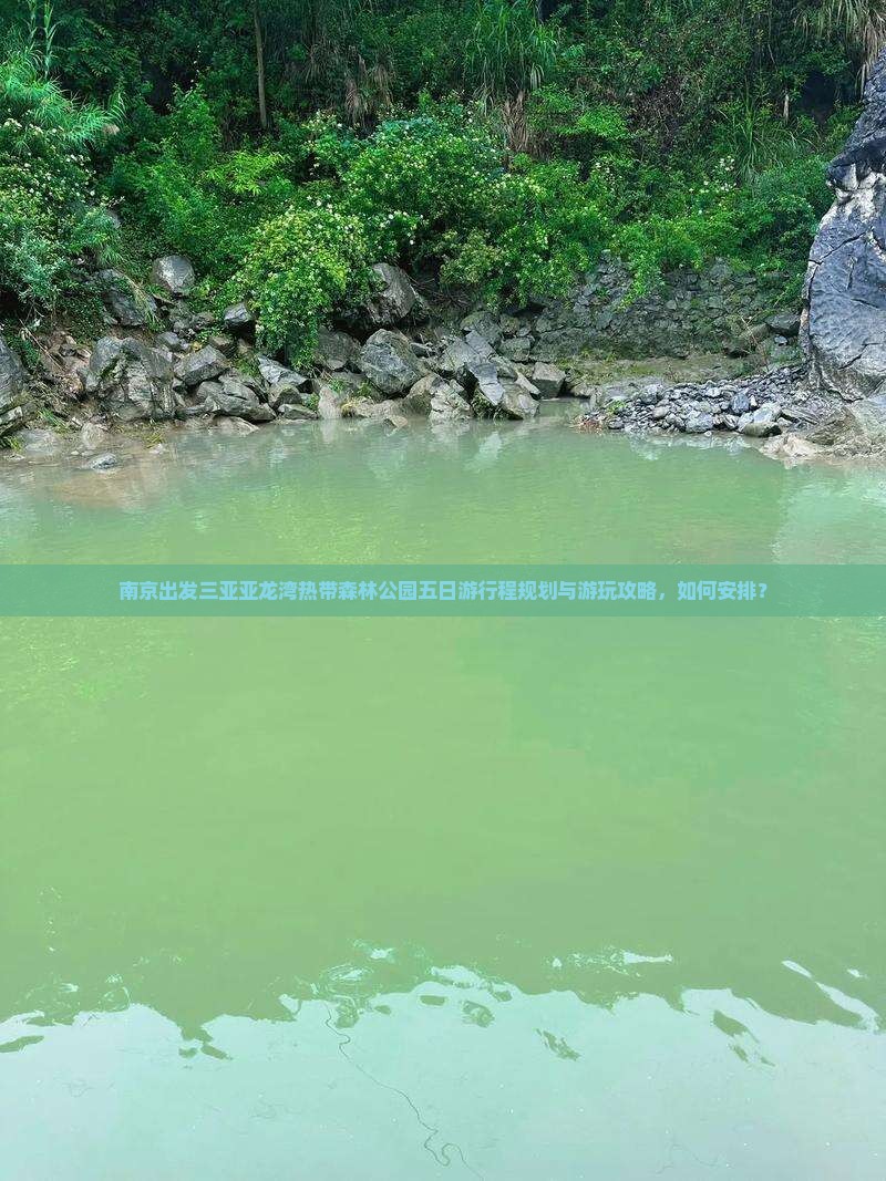 南京出发三亚亚龙湾热带森林公园五日游行程规划与游玩攻略，如何安排？