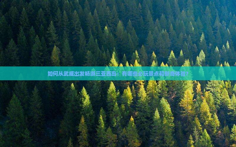 如何从武威出发畅游三亚西岛：有哪些必玩景点和新奇体验？