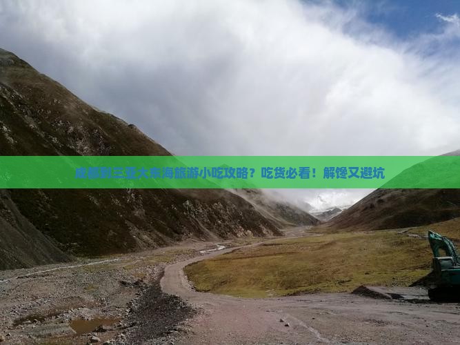 成都到三亚大东海旅游小吃攻略？吃货必看！解馋又避坑