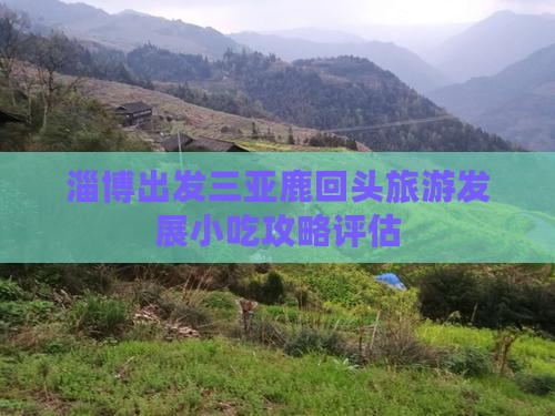 淄博出发三亚鹿回头旅游发展小吃攻略评估