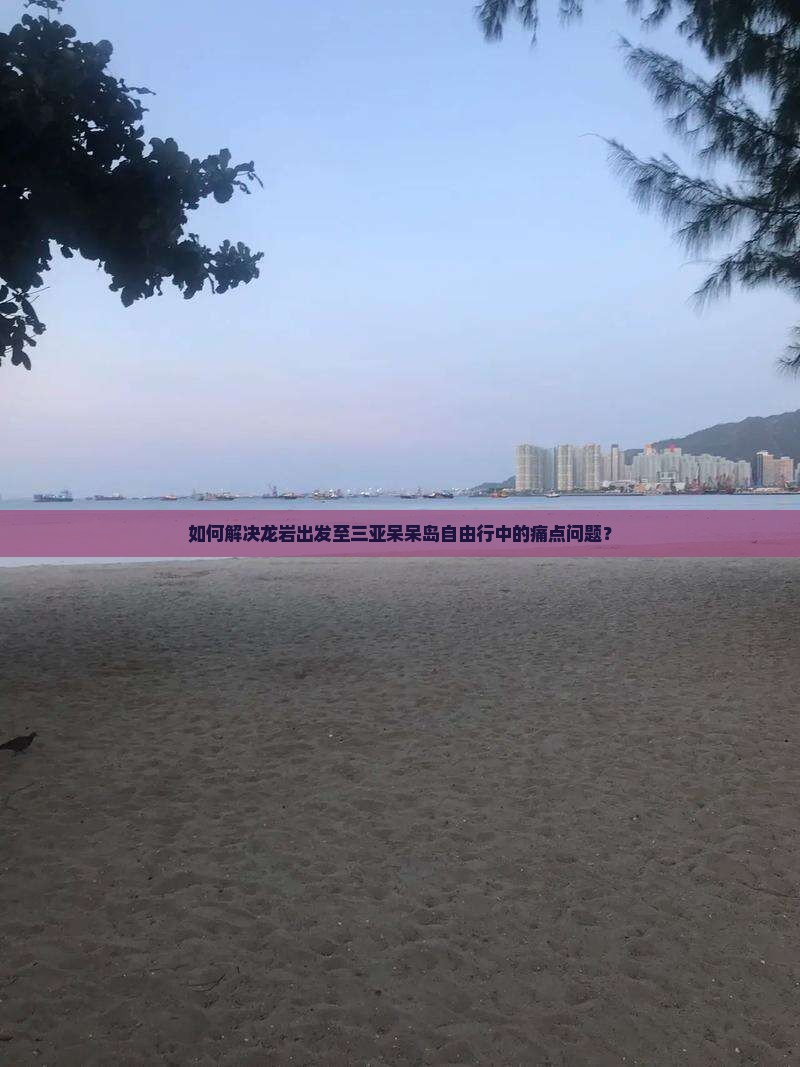 如何解决龙岩出发至三亚呆呆岛自由行中的痛点问题？