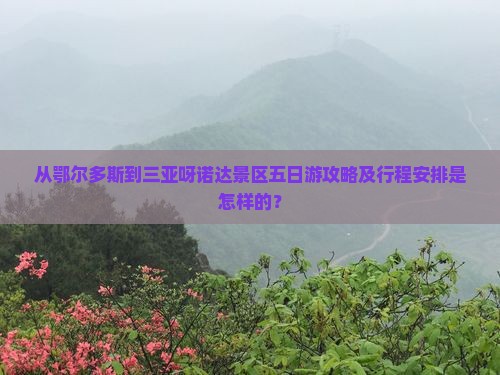 从鄂尔多斯到三亚呀诺达景区五日游攻略及行程安排是怎样的？