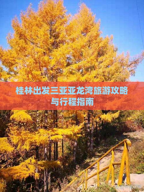 桂林出发三亚亚龙湾旅游攻略与行程指南