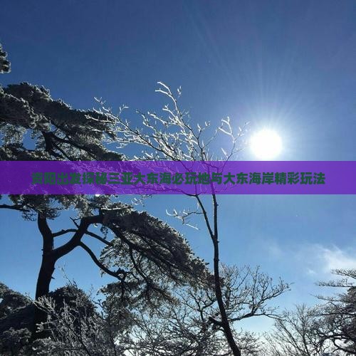 资阳出发探秘三亚大东海必玩地与大东海岸精彩玩法