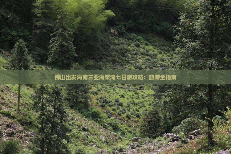 佛山出发海南三亚海棠湾七日游攻略：旅游全指南