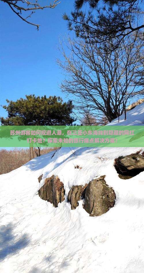 苏州游客如何规避人潮，在三亚小东海找到隐藏的网红打卡地？探索未知的旅行痛点解决方案！