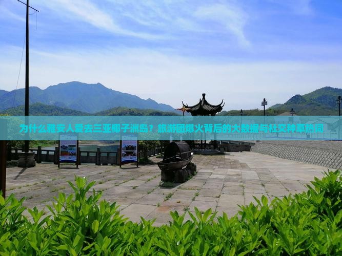 为什么雅安人爱去三亚椰子洲岛？旅游团爆火背后的大数据与社交种草热词