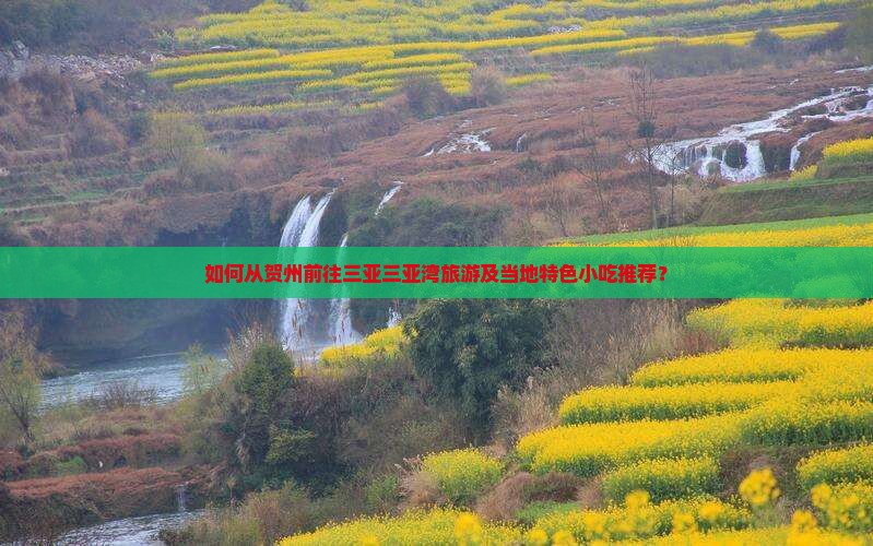 如何从贺州前往三亚三亚湾旅游及当地特色小吃推荐？