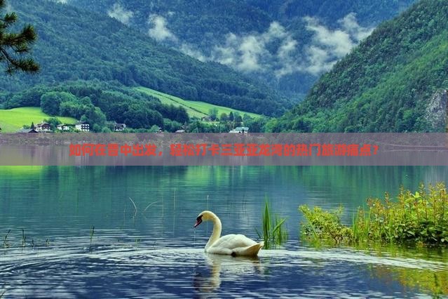 如何在晋中出发，轻松打卡三亚亚龙湾的热门旅游痛点？