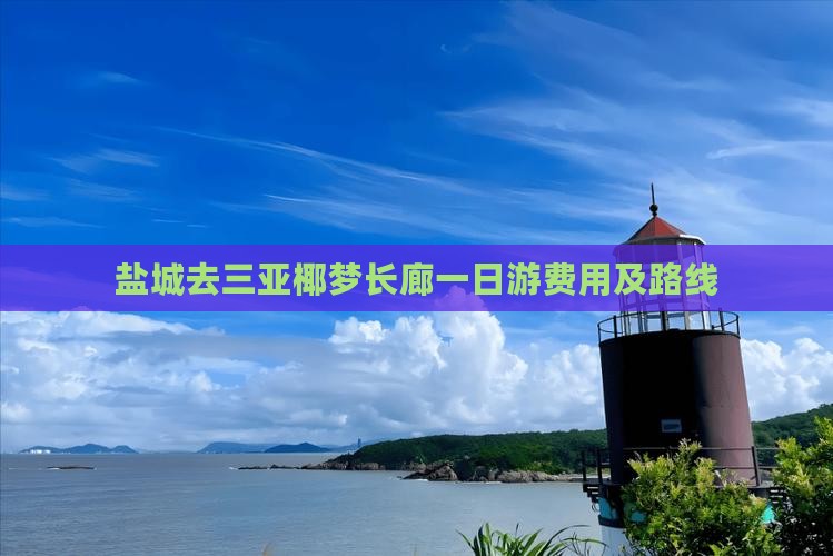 盐城去三亚椰梦长廊一日游费用及路线