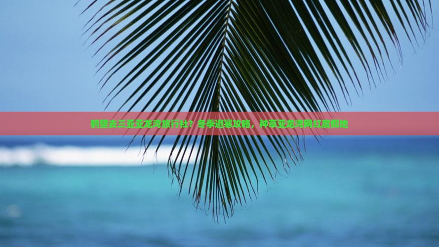 鹤壁去三亚亚龙湾旅行社？冬季避寒攻略，种草亚龙湾网红度假地