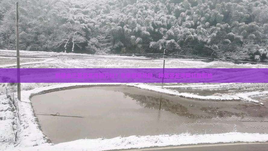 鹤壁去三亚亚龙湾旅行社？冬季避寒攻略，种草亚龙湾网红度假地