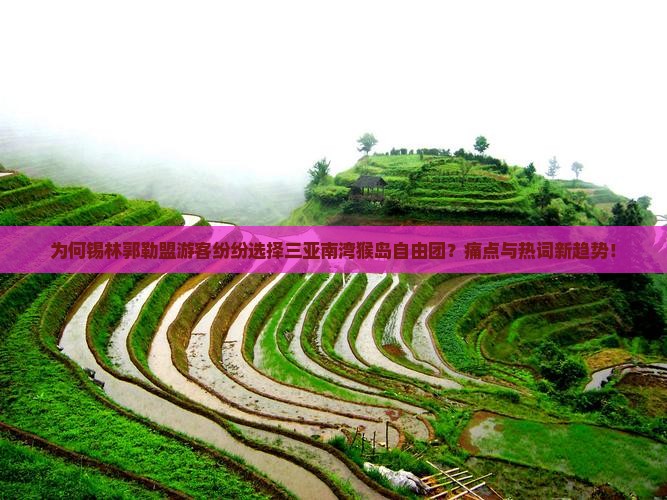 为何锡林郭勒盟游客纷纷选择三亚南湾猴岛自由团？痛点与热词新趋势！