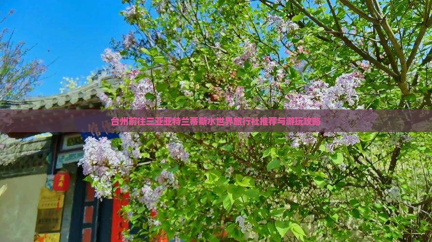 台州前往三亚亚特兰蒂斯水世界旅行社推荐与游玩攻略