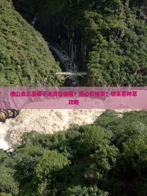 佛山去三亚椰子洲岛自由团？担心价格贵？快来看种草攻略