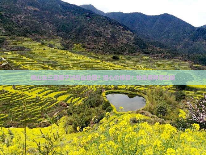 佛山去三亚椰子洲岛自由团？担心价格贵？快来看种草攻略