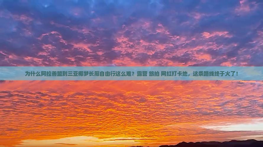 为什么阿拉善盟到三亚椰梦长廊自由行这么难？露营+旅拍+网红打卡地，这条路线终于火了！