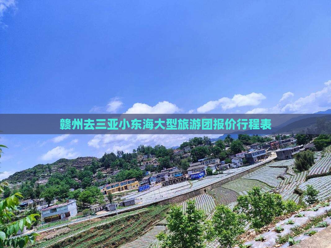 赣州去三亚小东海大型旅游团报价行程表