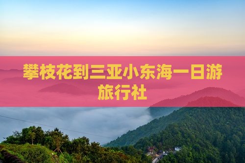 攀枝花到三亚小东海一日游旅行社